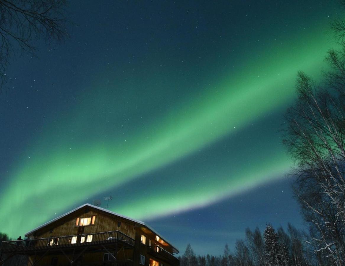 Alaska Grizzly Lodge Fairbanks Exteriör bild