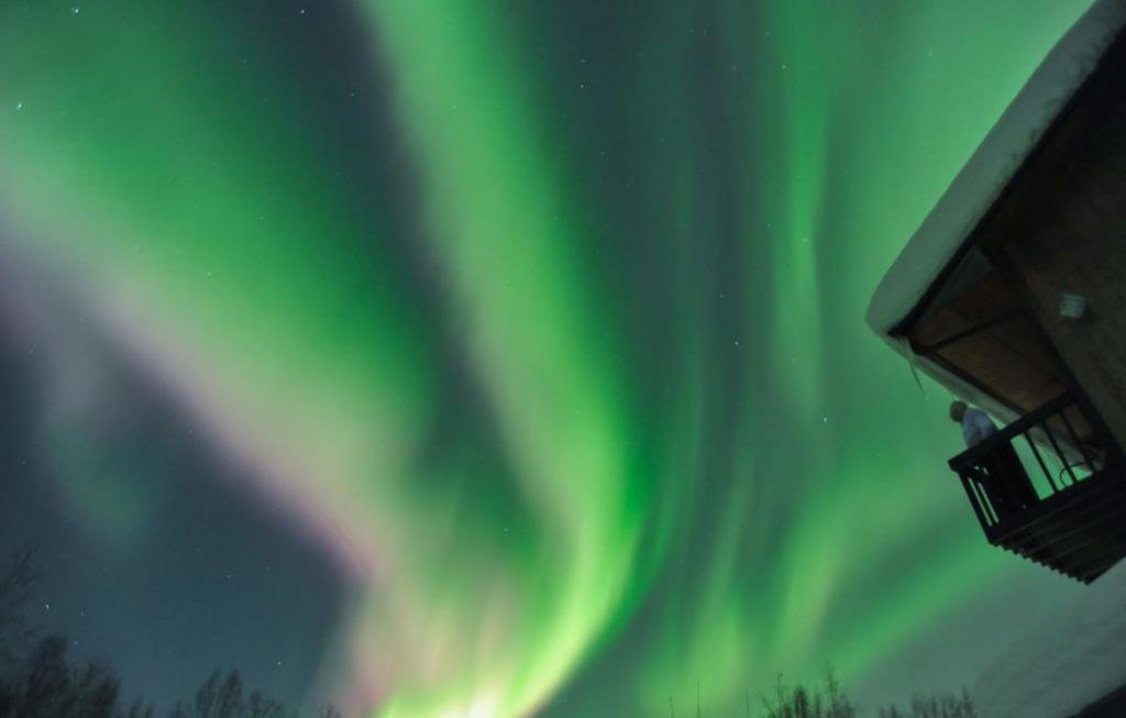 Alaska Grizzly Lodge Fairbanks Exteriör bild