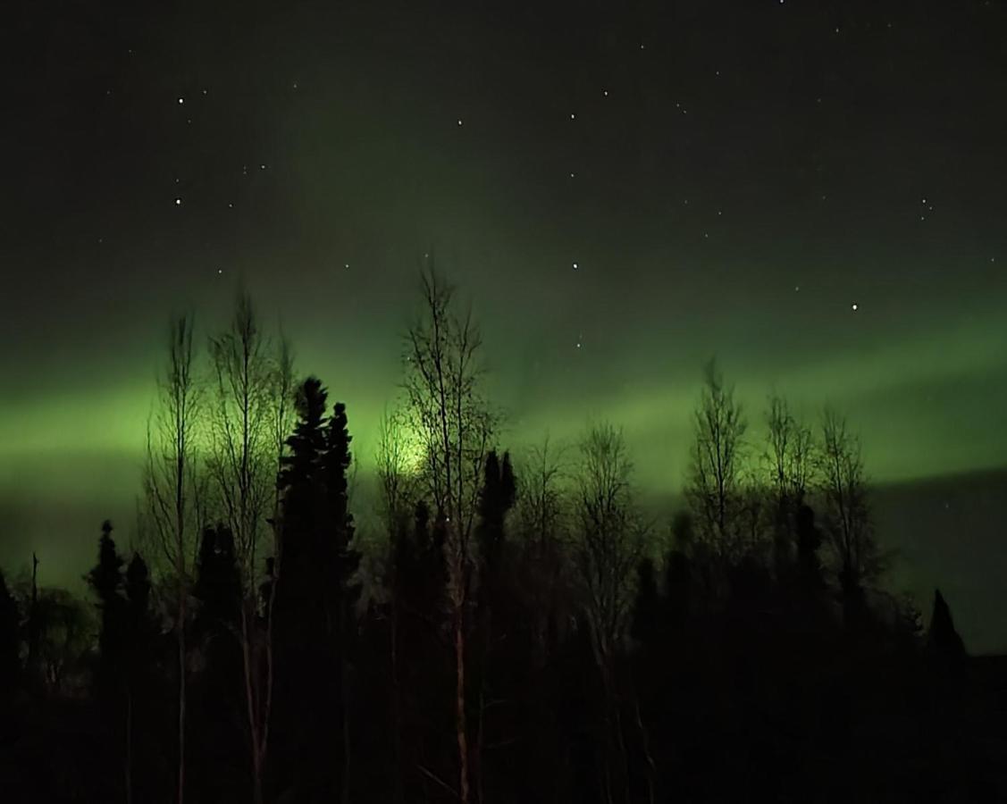 Alaska Grizzly Lodge Fairbanks Exteriör bild